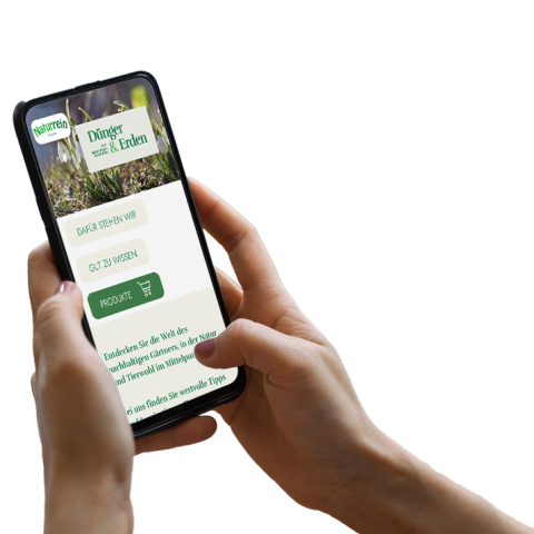 Hand hält Smartphone, auf dem die Website sichtbar ist
