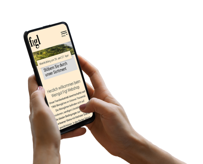 Hand h&auml;lt Smartphone, darauf ist ein Screenshot der Website zu sehen