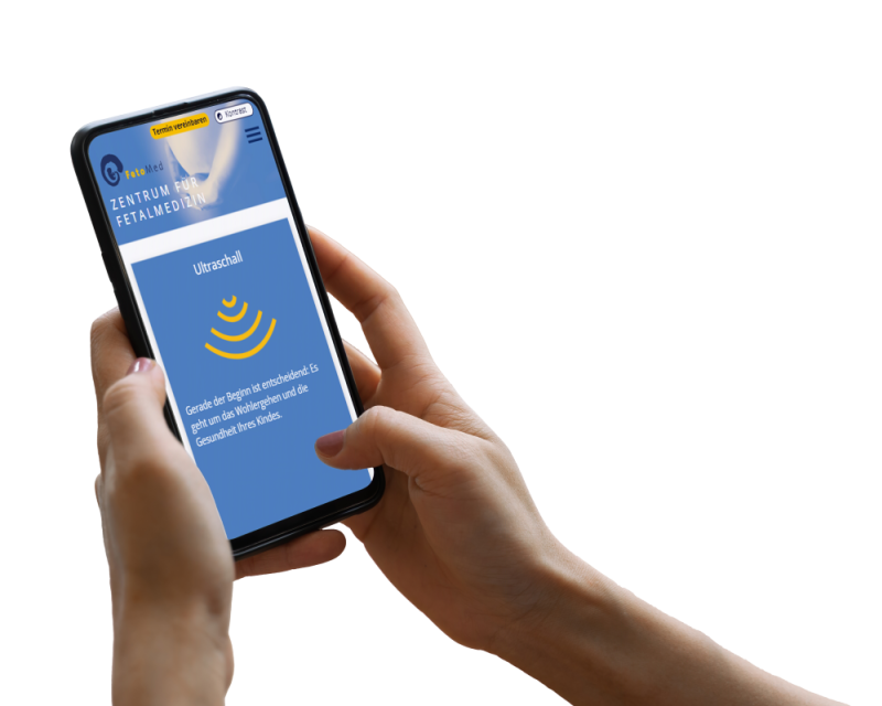 Hand h&auml;lt Smartphone, darauf ist ein Screenshot der Website zu sehen