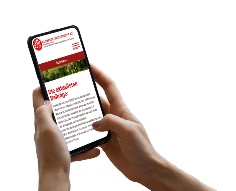 Hand h&auml;lt Smartphone, darauf ist ein Screenshot der Website zu sehen