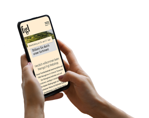Hand h&auml;lt Smartphone, auf dem der Webshop sichtbar ist