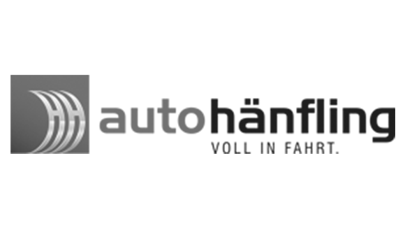 Logo: Auto H&auml;nfling