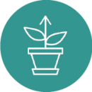 Icon: Topfpflanze