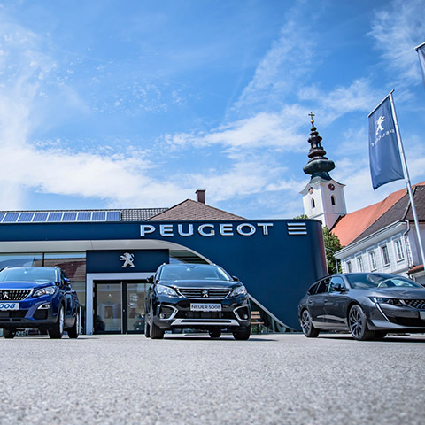 Peugeot Autos vor einem Autohaus mit der Aufschrift Peugeot. Kameraperspektive vom Boden nach oben.