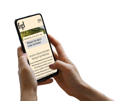 Hand hält Smartphone, auf dem der Webshop sichtbar ist